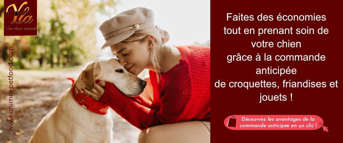 economies-croquettes-friandises-jouets-pour-chien